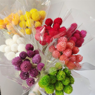 Dried Flowers Thousand-day Red Dried Flowers bouquet Strawberry Fruit Monk Hair Wealth Fruit Little Red Book Same Dried Flowers DIY Flower Material Hand