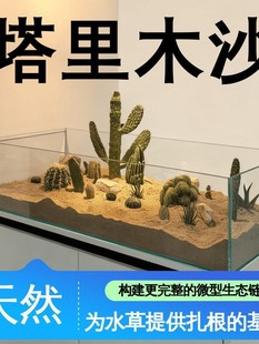 ����ľɳ�~�׵�ɰ�������������~�쾰��ɳ�Sɫ��ɳˮ��ɳ