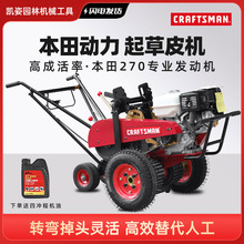 �оG���Ƥ�C���ƺ�C�P�ݙC�ݵ���ֲ�C�ɻ��ʸ�29CM35CM��������