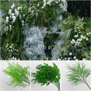 cɭϵGɫϵ~ӻYbٻGֲϻl