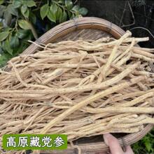 ����ɽ�� �ص��� �������� ��ɽ����û����