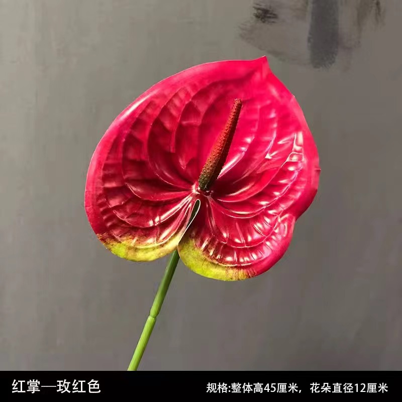 플라스틱 손바닥-로즈 레드
