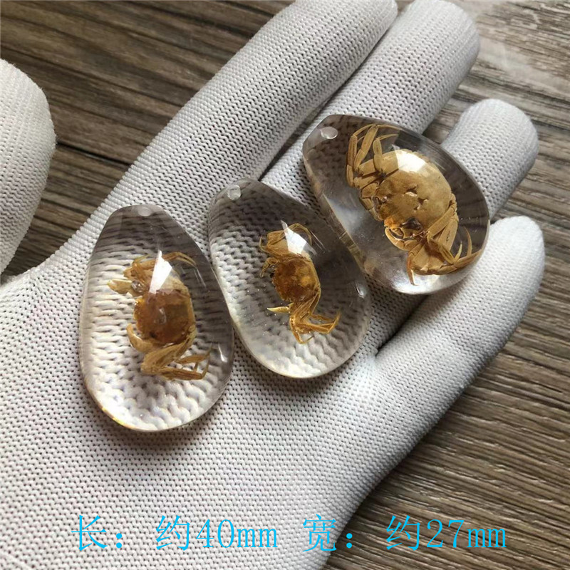 厳選された昆虫琥珀標本、サソリと蝉、ブラインドボックス、子供向けギフト、教科書、学習発掘、考古学的ペンダントアクセサリー|undefined