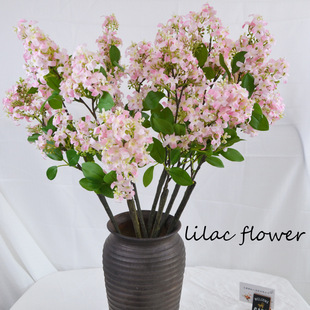 ����ǧ����������������^ɽ���S����c�Ҿ��b��滨���㻨