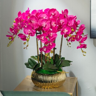 ���ָк����m���҃ȿ͏dǰ̨�[���b[�O�ٻ�ˇ�����p��