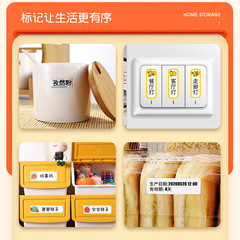 Precision D110 Label Printer Home Thermal Transfer Handheld Portable Bluetooth Mini Label Printer