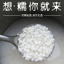 20Ŵ޲؛șֳrС޲sZÝ500g