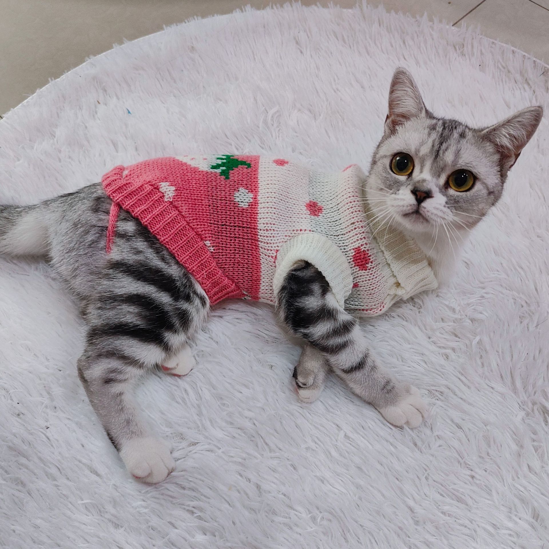 Ropa para mascotas multi-color de lana de punto ropa de gato de dos piernas de solapa caliente casual mascota suéter de una sola pieza de entrega