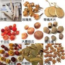 �ɹ��b�Ʒ�[������DIY�ֹ����ϸɹ��������׃��@ɭ�ָɘ�֦