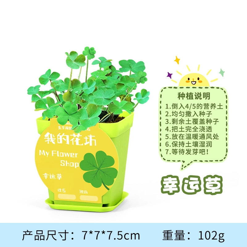 Materials set for experiments for kindergarten, DIY, science, generating electricity, mini experiment, Birthday gift