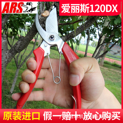 日本爱丽斯ARS120DX修枝剪果园修枝剪 园艺枝剪家庭园艺修剪工具