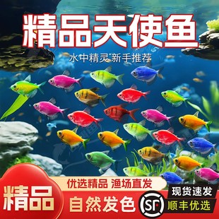 ��ʹ�~�^�p�~����Ȼ�~ȺС���~��ˮ�~���B�ͻ�ιʳ�W����������