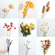 ɻȼ޻õrβ DIY廨ļҾb