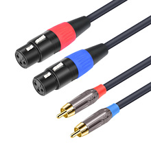 �羳僽��^2RCA���D2 XLR ĸ�{��̨���ʷŴ���ɏ���^�DXLR���l��