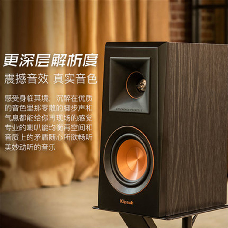 klipsch/Jess RP-600M/500M Fever HIFI Bookshelf Speaker Passive Horn Sound