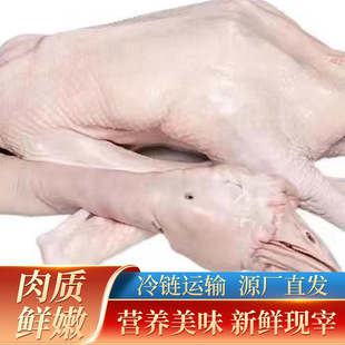 �����{�^�Z���Z�r��ɢ�B���Z�F����ֻ���Z��ʽ���Zԭ�ı��r�{�^�Z