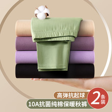 纯棉大码保暖棉毛线裤女秋冬季内穿薄款无痕打底衬裤弹力修身秋裤