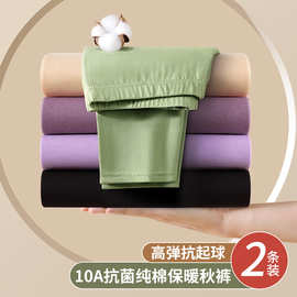 纯棉大码保暖棉毛线裤女秋冬季内穿薄款无痕打底衬裤弹力修身秋裤