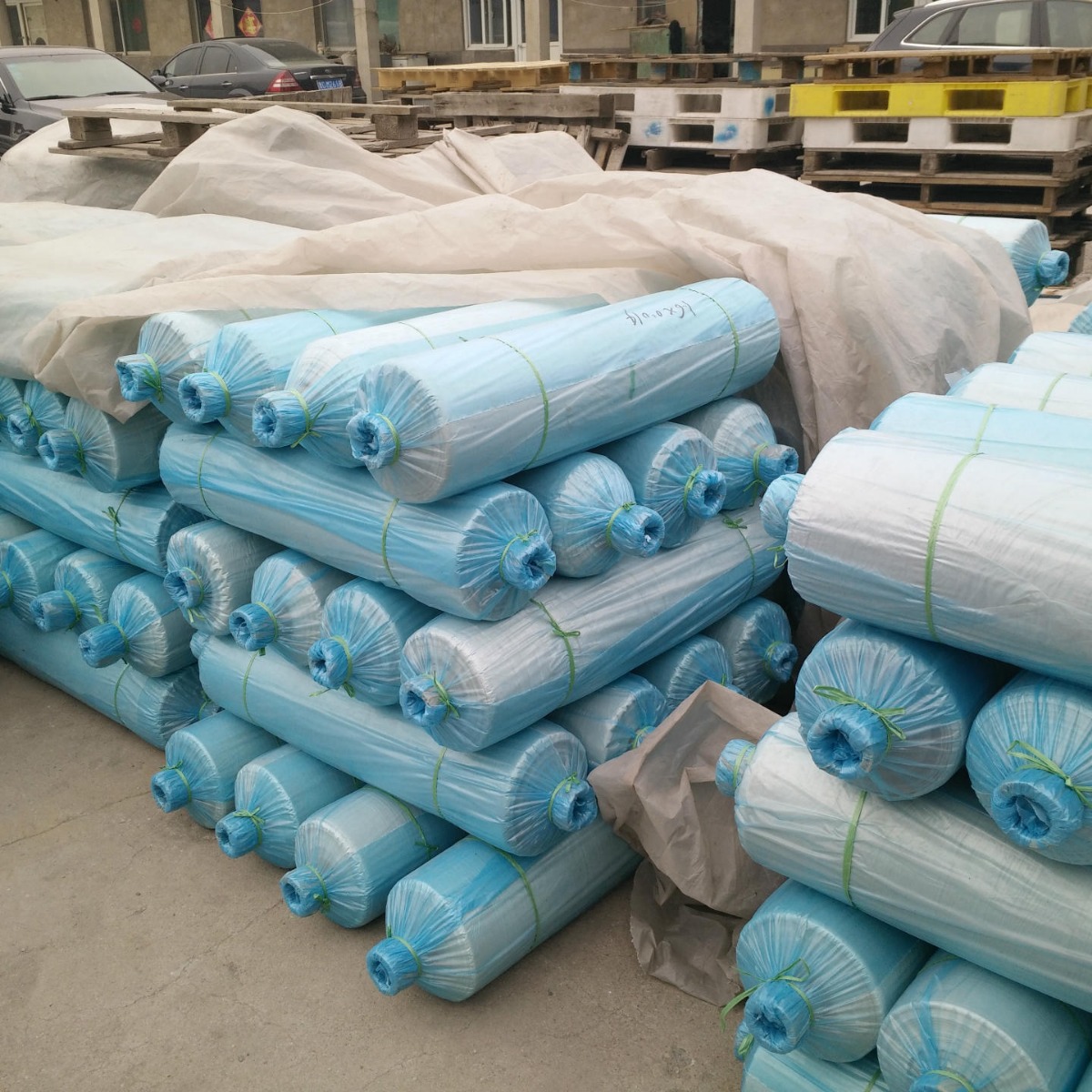 ��Ӧ�������Ĥ����Ĥ