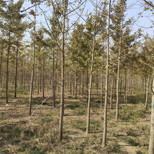 ���~�׹�С��ͥԺ�^�~�е��L���� �@�־G����ľ1-25�����y�Ә�