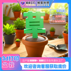网红小红书草盆解压摆件3D打印
