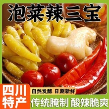 四川泡菜辣三宝泡姜泡椒组合灯笼椒嫩姜子姜泡辣椒小米辣老坛发酵
