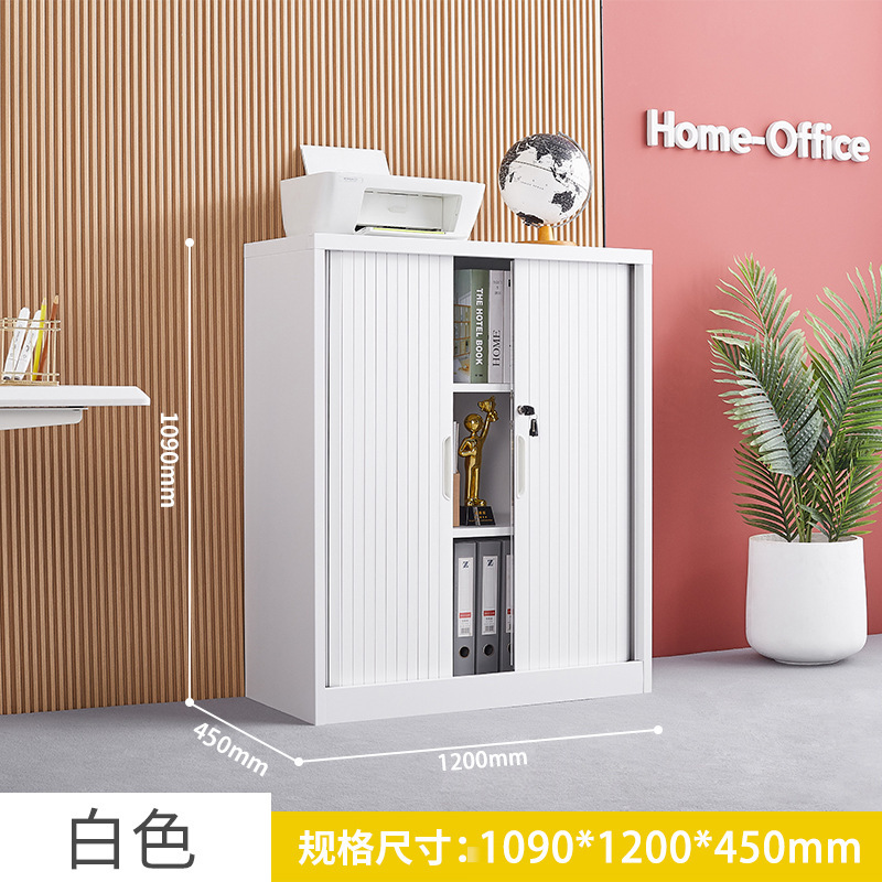 推拉卷帘门柜办公文件柜铁皮柜财务凭证柜钢制书柜阳台储物柜矮柜|undefined