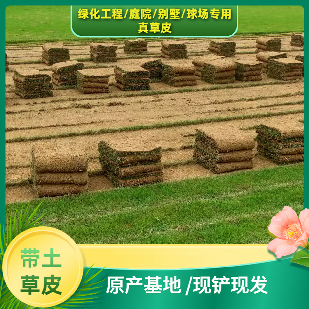 46cfa2c9edb24a21d68228d2f4894c