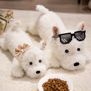 ��ͨ���ߵ�Ȯë�q���ſſС�����Ѓ�ͯ������Ů������˯�X�����^