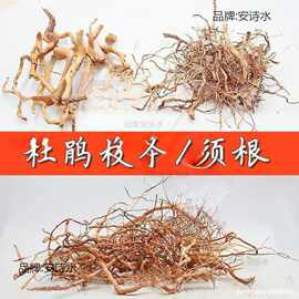 景木枝杜鹃根枝条摆件景树根巴西树枝生命之树洞景观缸用垒德株