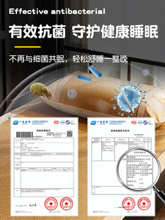 ✅ Rattan Mat Antibacterial Summer Mat Student Dormitory Single Bed Summer 2025 New Rattan Air-Conditioned Mat Foldable