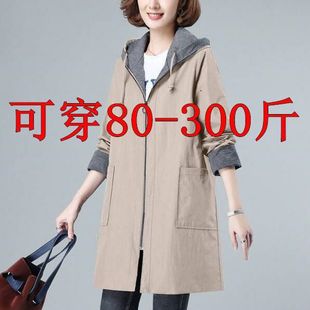 �L��Ů2026�¿����L���a�ߙnŮ�b200����mm���e��������������