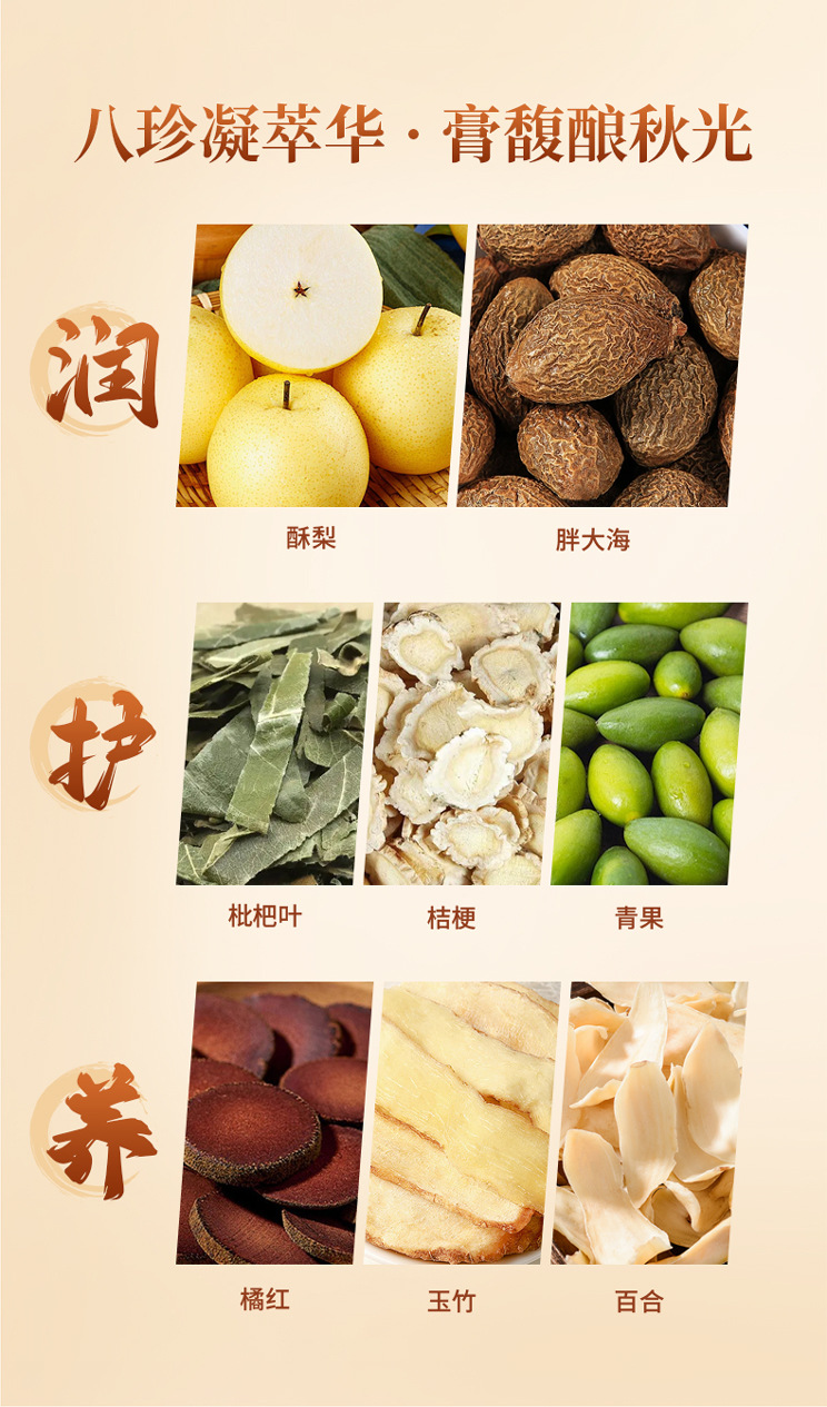 Loquat & Autumn Pear Paste (Pipa Qiuli Gao) — TCM-Simmered Herbal Throat Paste, 260g specifications
