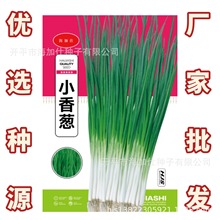 ļС[Nӡ1ˡζС[NяS߲˷Nl