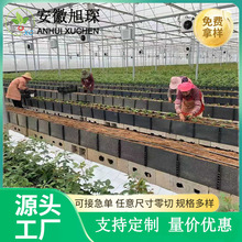 �������õ������� ����Nֲ�� �ɰ���ߴ�Nֲ��