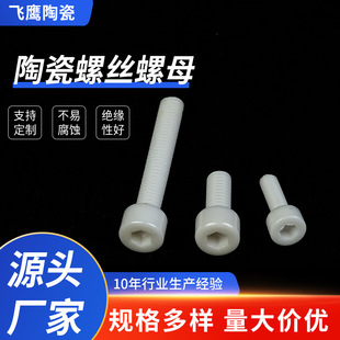 Zirconia Ceramic Screws and Nuts Precision Structural Ceramics Multi-Specification White Insulating Bolts Zirconia Screws