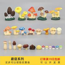�����֬СĢ���㹽��ᘹ�ģ�͔[��΢���^ˮ���쾰�bM49Ԫ���]