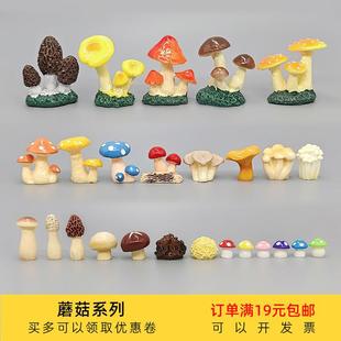 Simulated Resin Small Mushroom, Shiitake Mushroom, Enoki Mushroom Model Ornaments, Micro-Landscape, Aquarium Landscaping Decoration, Free Shipping for Orders over 49 Yuan