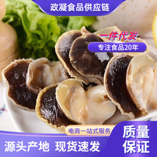 �F��������������������ȥ�^ȥ���K���rˮ�a�������l������