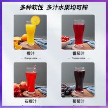 WG6Qքե֭ʊAե֭CӉ֭СʯDD֭