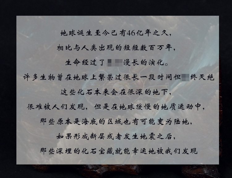 9638529182_578835722