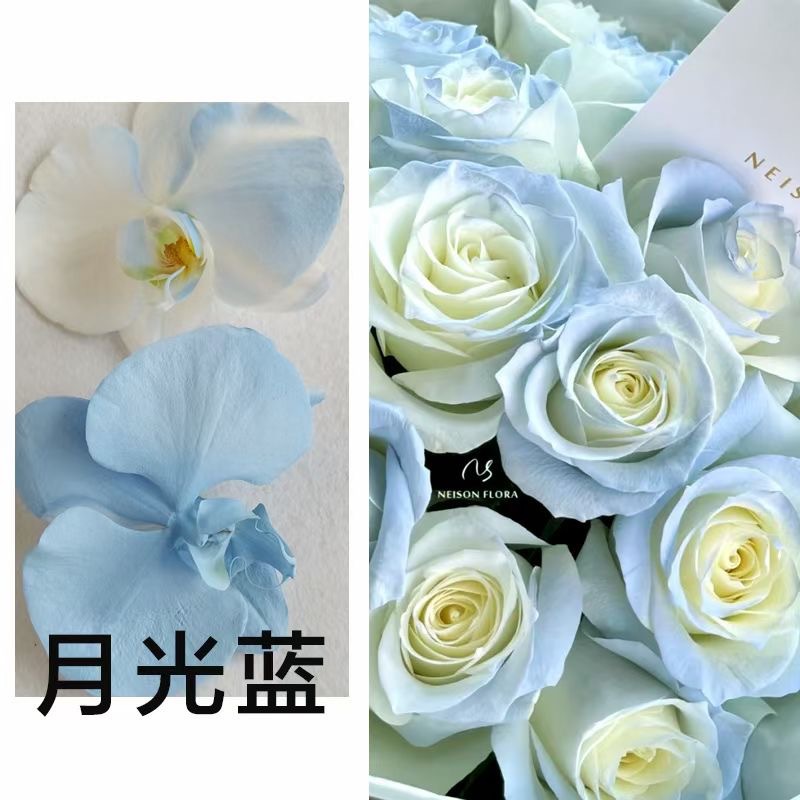 Internet celebridad ciruela negro rosa púrpura flores autopintadas agente de pulverización de color tinte floral spray colorante