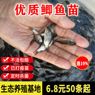 ��ˮ�S���~���a�~С�~���~�~���~���a�~�~���Bֳ�~����w���~�Bֳ