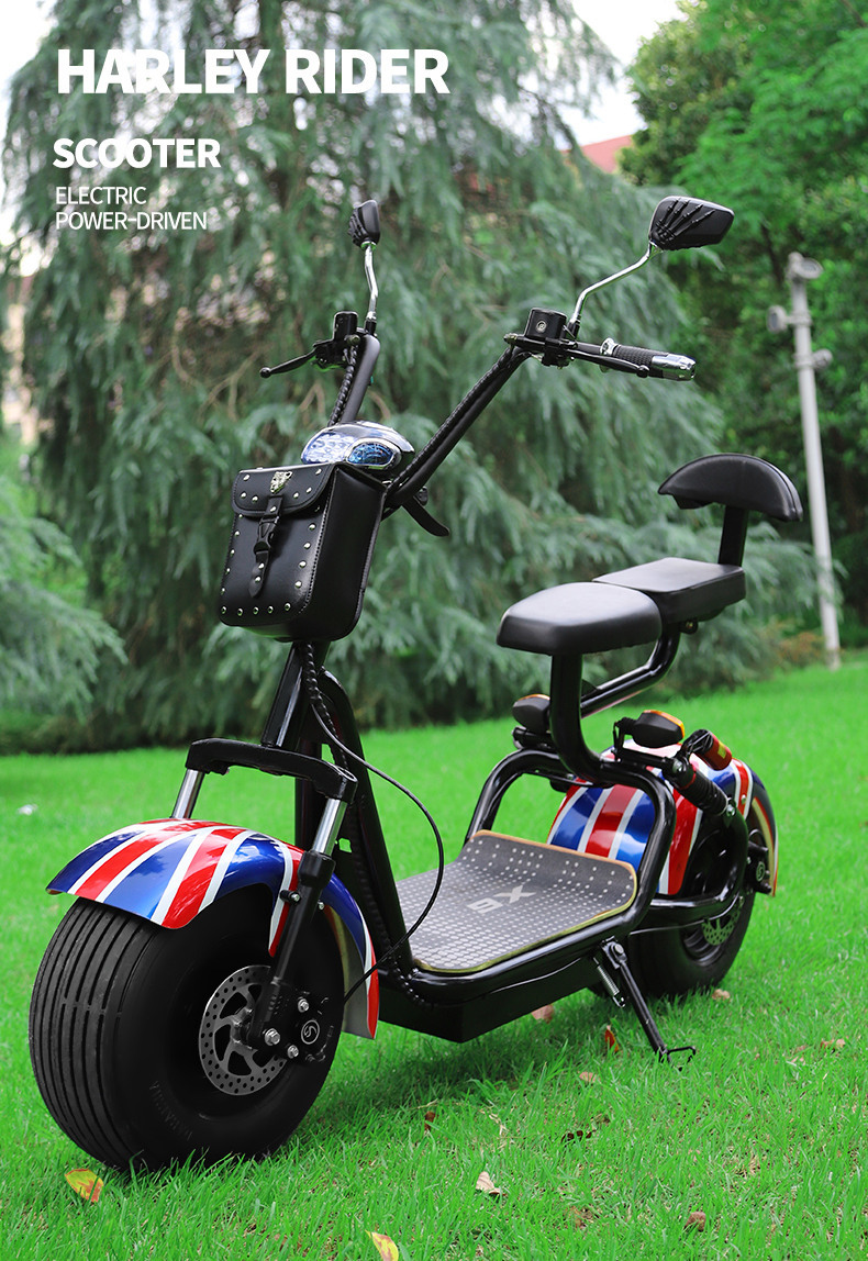 X6P Lithium Battery Is a Detachable 60V/12A Dual-Battery for Scooters, Motorcycles, and Electric Vehicles with Long Battery Life