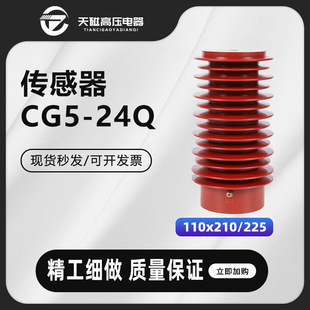 Tianci Cg5-24Q110X210/225 Indoor High-Voltage Live Display Device Epoxy Resin Sensor