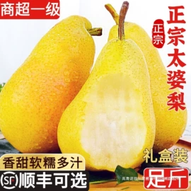 西式糕点;槟榔（非食品）;饼干