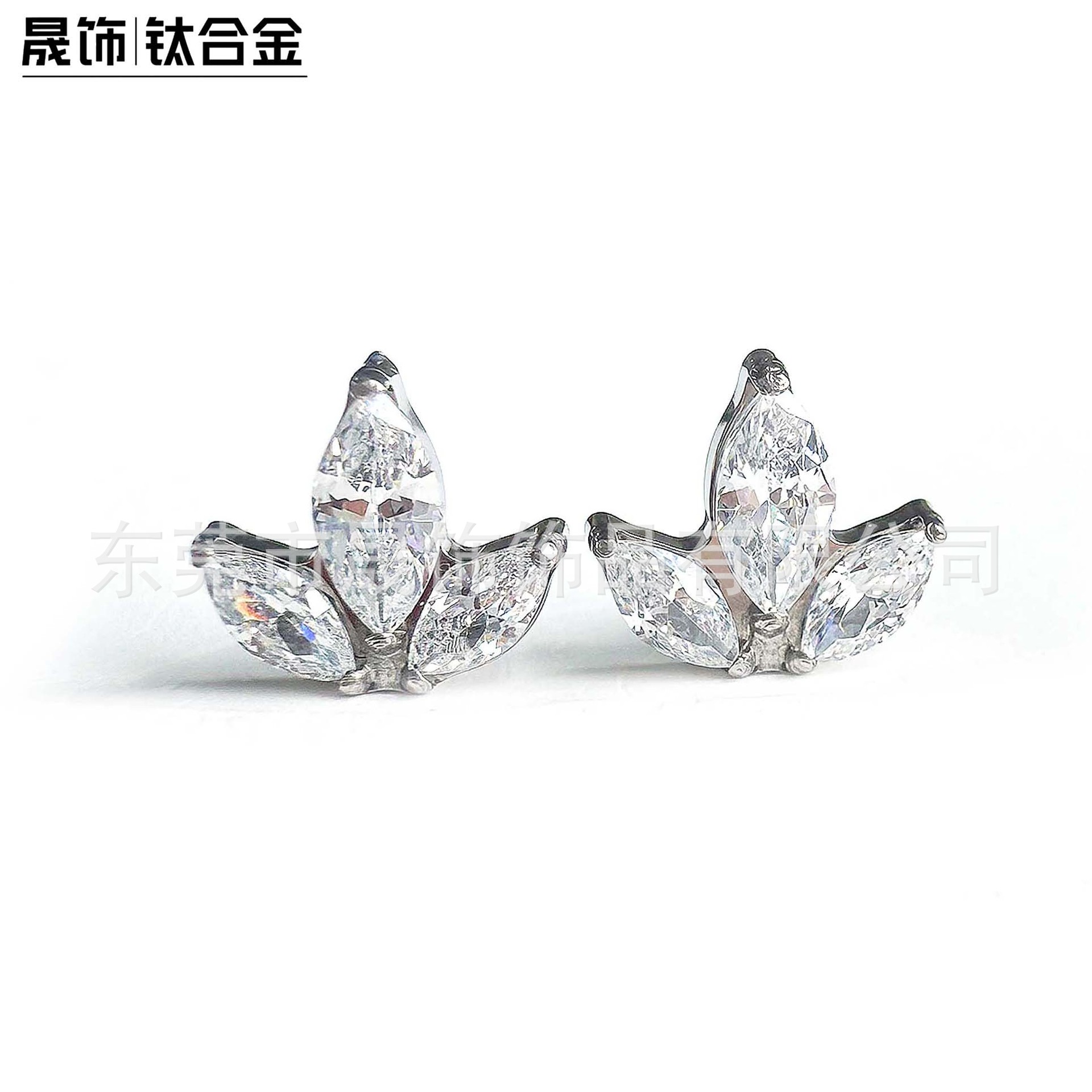 F136 Titanium 马眼 Cubic Zirconia Ear Stud G23 Implant Grade Titanium Internal Thread Labret Stud Piercing Jewelry Helix Cartilage Stud 自然风