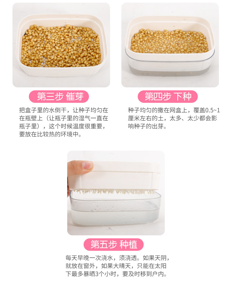 猫碗1_14.jpg