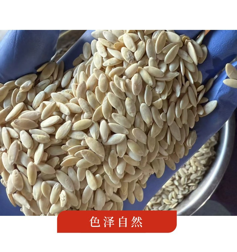 Large White Cucumber Seeds Huang Gua Zi 500g Hand Selected Raw Edible Seeds specifications