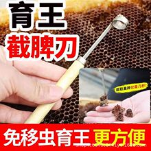 �๦��������Ƣ��ȫ���˹������x������������ȡƢ�������x������